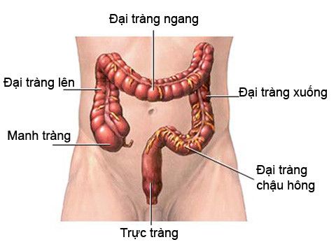 anh1