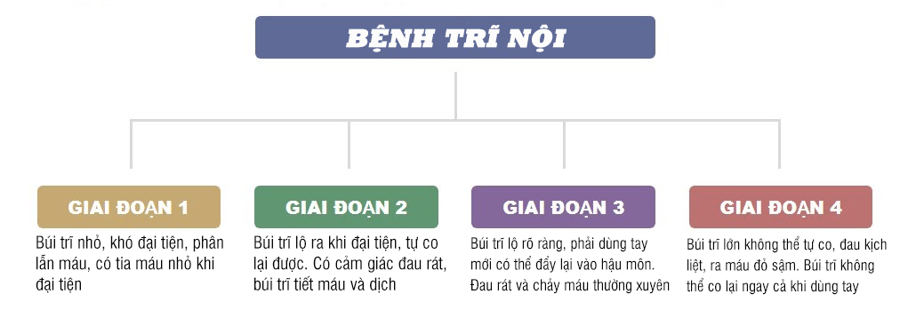 cấp độ trĩ nội