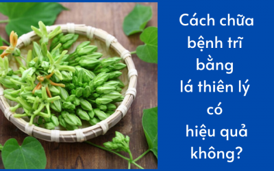 Cách chữa bệnh trĩ bằng lá thiên lý có hiệu quả không?