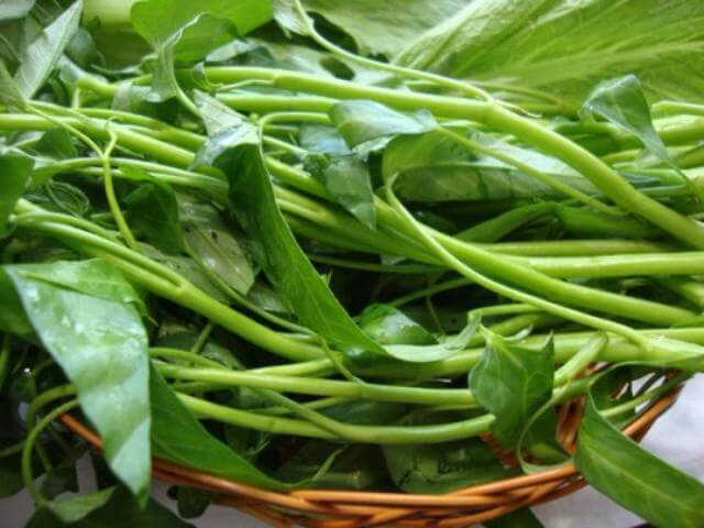 Những tác dụng của rau muống với bệnh trĩ