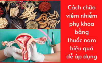 Cách chữa viêm nhiễm phụ khoa bằng thuốc nam hiệu quả, dễ áp dụng