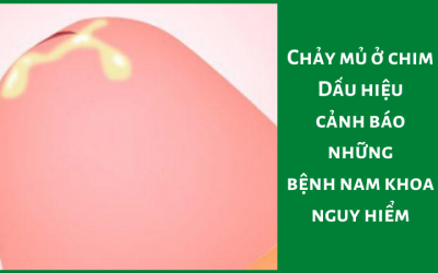 Chảy mủ ở chim: Dấu hiệu cảnh báo những bệnh nam khoa nguy hiểm