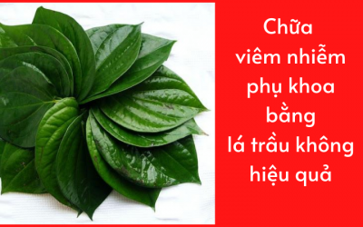 Chữa viêm nhiễm phụ khoa bằng lá trầu không hiệu quả: Lời khuyên của chuyên gia