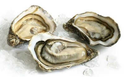 Thực Phẩm Tốt Cho Tinh Trùng Và Trứng Các Cặp Đôi Nên Nhớ