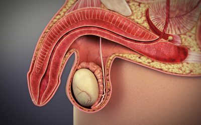 Đang Quan Hệ Thì Bị Xìu – Nguyên Nhân Do Đâu Và Cách Khắc Phục