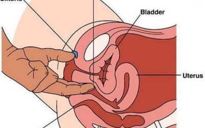 [ KHÁM PHÁ ] Cấu tạo của âm đạo phụ nữ không phải ai cũng biết