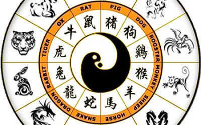 Xem bói để biết khi nào có con liệu có đáng tin? – Bác sĩ nói gì về điều này