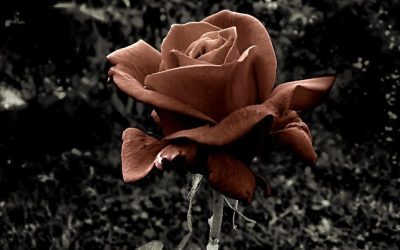 Vì sao cô bé bị thâm ở tuổi dậy thì, nguyên nhân & giải pháp