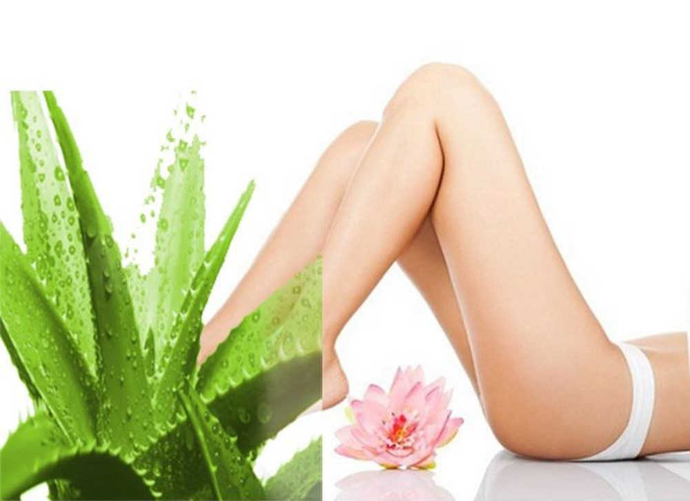 Cách làm da vùng kín trắng hồng bằng nha đam