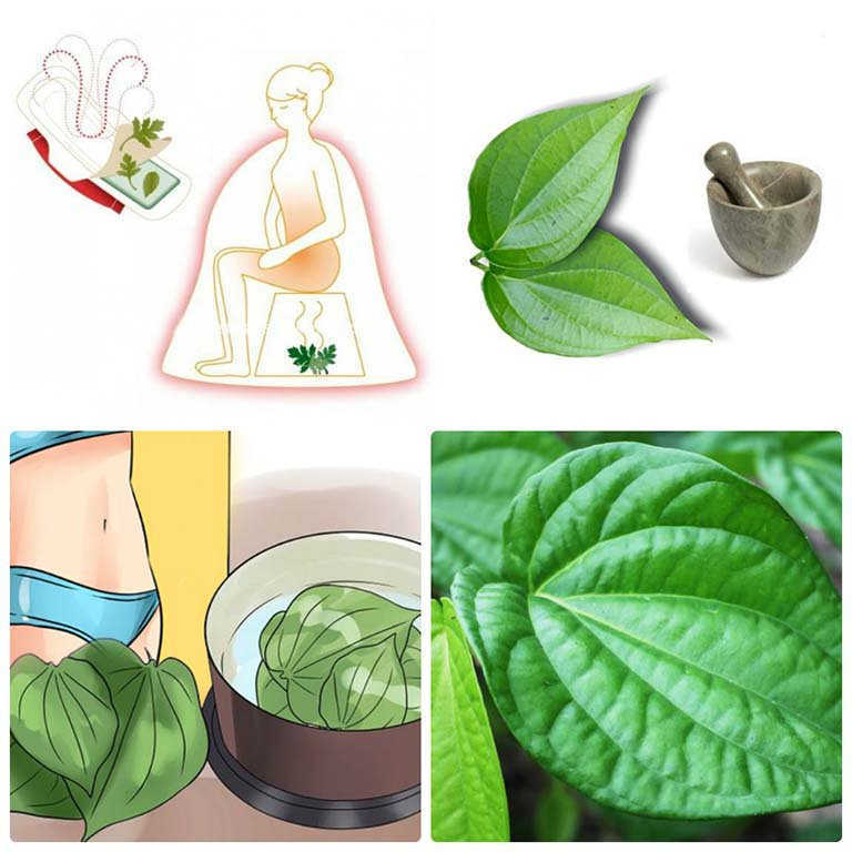 Dùng lá trầu không
